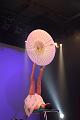 D-I3910-IMG_0013-F