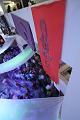 D-I5592-IMG_0898-F