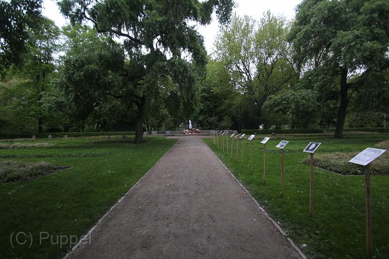 D-I9400-IMG_2424-F.JPG
