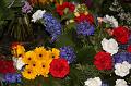 D-I9419-IMG_1907-5