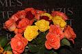 D-I9423-IMG_1911-5