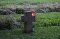 D-I9440-IMG_1921-5