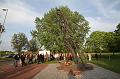 D-I7269-IMG_1468-5
