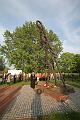D-I7274-IMG_1470-5