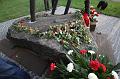 D-I7334-IMG_1513-5
