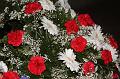 D-I6951-I9420-IMG_1908-5