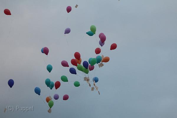 D-I9323-IMG_1837-5.JPG
