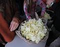 D-I9133-IMG_2258-Fa