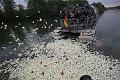 D-I9142-IMG_2267-F