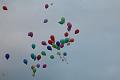 D-I9323-IMG_1837-5