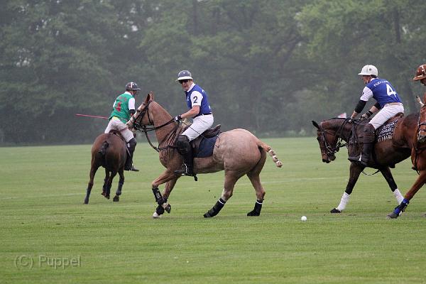 IMG_3506aa.jpg