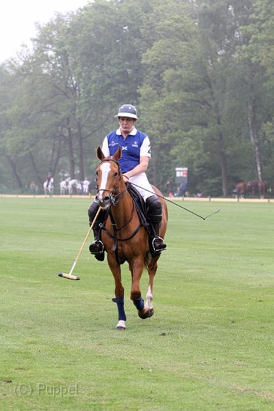 IMG_3742a.jpg