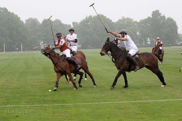 IMG_3831aa.jpg