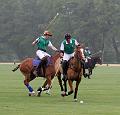 IMG_3509aa