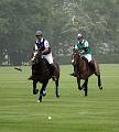 IMG_3559aa