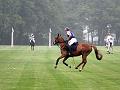 IMG_3754aaa