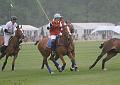 IMG_3817a