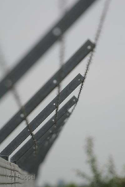 IMG_9029.JPG