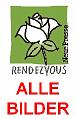 Z__ALLE