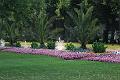T_20130803-195106_IMG_1533-F