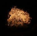 T_20130803-222744_IMG_1268-5a