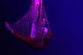 T-20130822-212822_IMG_9390-F