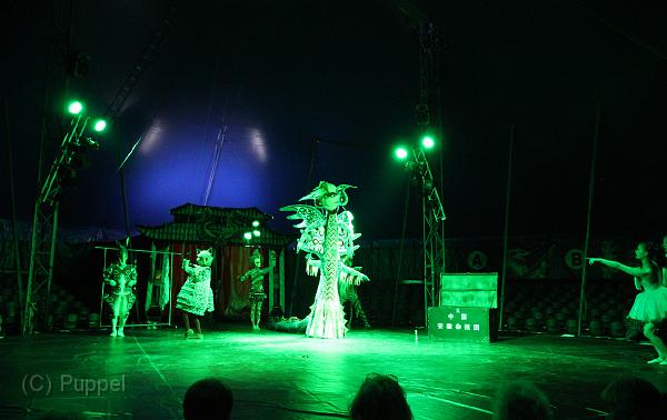 T-20130822-200848_IMG_7971-5a.jpg
