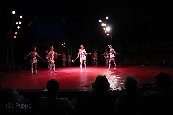 T-20130822-201042_IMG_7993-5.JPG