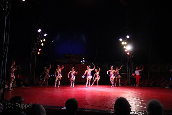 T-20130822-201440_IMG_8023-5.JPG