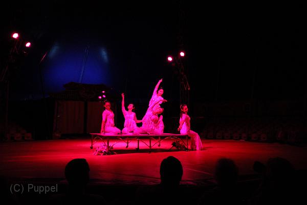 T-20130822-203010_IMG_8090-5.JPG