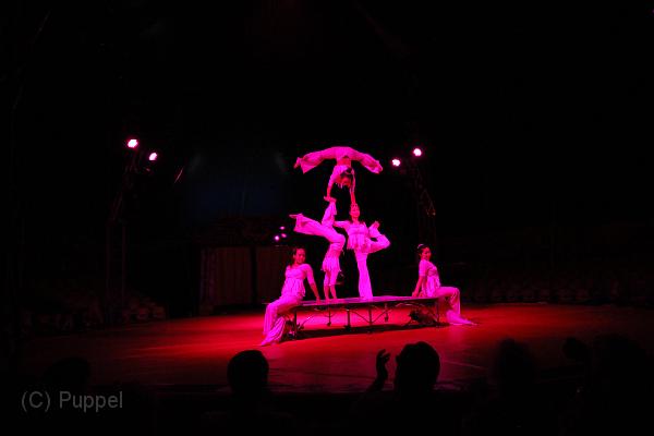 T-20130822-203346_IMG_8115-5.JPG