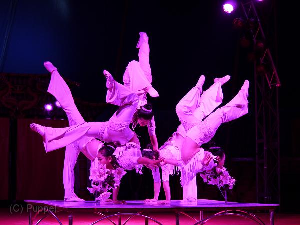 T-20130822-203446_P1040656-G.JPG