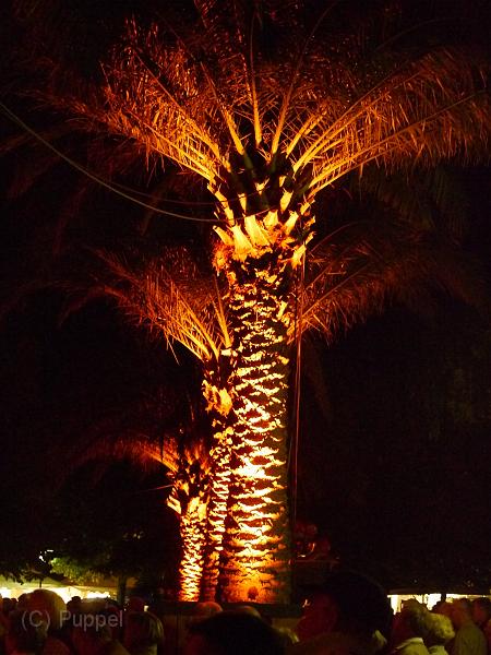 T-20130901-223934_P1060745-G.JPG