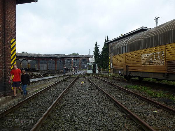 T-20130908-112602_P1080291-Z.JPG