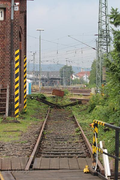 T-20130908-113358_IMG_9563-6.JPG