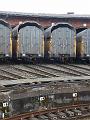 T-20130908-112752_P1080303-Z
