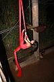 T-20130914-203332_IMG_0452-F
