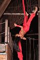 T-20130914-203652_IMG_2242-6