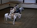 T-20130914-150406_P1110244-G
