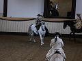 T-20130914-150652_P1110289-G