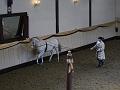 T-20130914-152154_P1110485-G