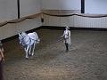T-20130914-152302_P1110514-G