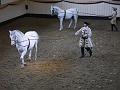 T-20130914-152316_P1110523-G