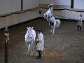 T-20130914-152326_P1110527-G