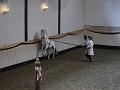 T-20130914-152500_P1110570-G