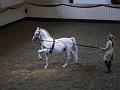 T-20130914-152720_P1110599-G