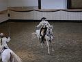 T-20130914-153022_P1110615-G
