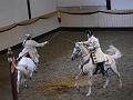 T-20130914-153024_P1110617-G