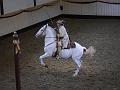 T-20130914-153118_P1110643-G