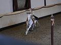 T-20130914-153132_P1110645-G